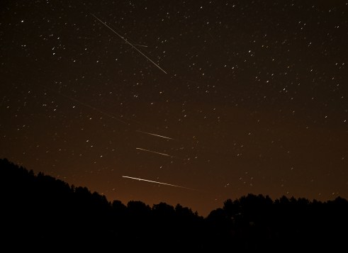 Bright streaks of meteors cross a dark night sky filled with stars above a tree line.
