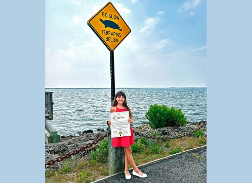 A yellow road sign reads “Go slow, terrapins below” near the water.