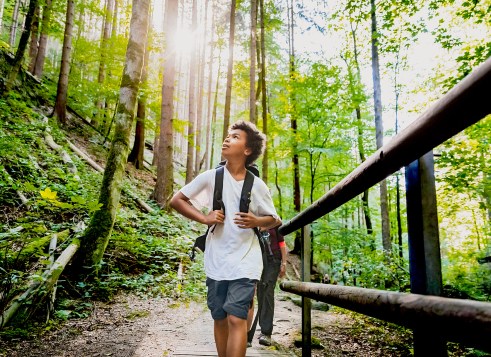 A child stands on a wooden bridge and looks out at a green forest.